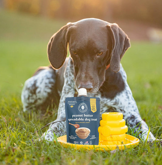 Peanut Butter Spreadable Dog Treat